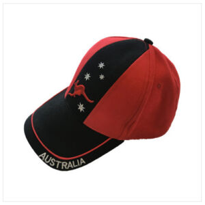 Customed baseball cap with embroidery logo